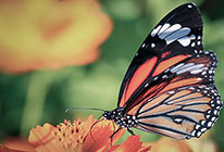 无限拨打手机号软件