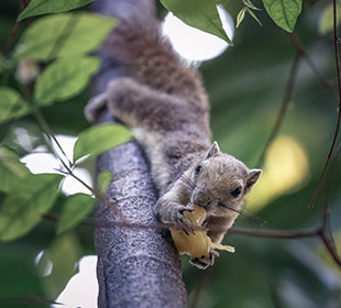 虚拟号码外呼软件