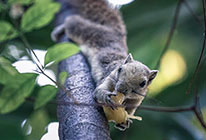 手机号测压在线平台