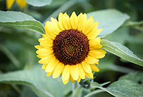 充值服务网站的电话轰炸服务