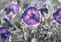 手机号轰炸平台