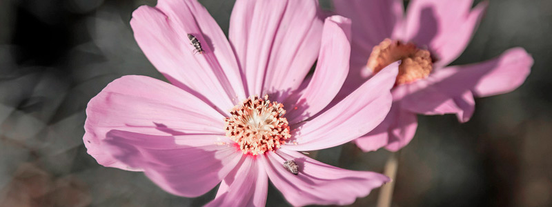 手机号测压在线平台